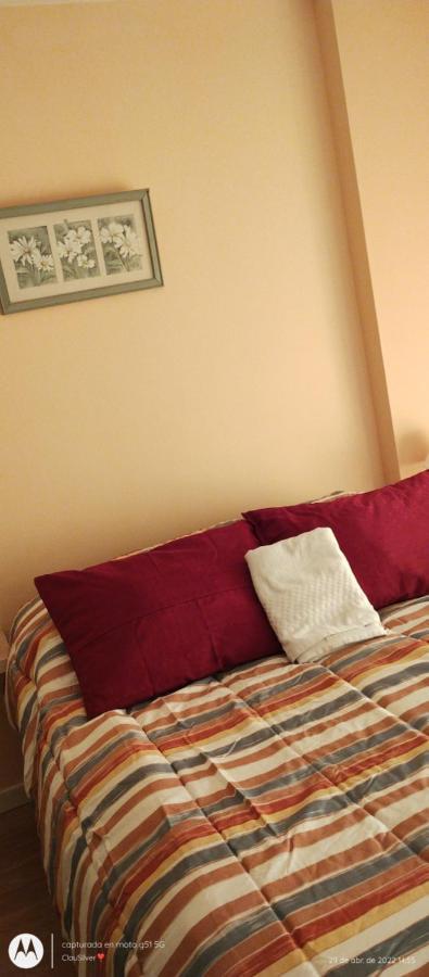 Acogedor Monoambiente Con Parking Apartment Neuquén Exterior photo